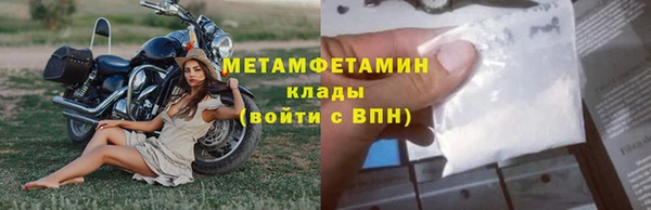 прущие грибы Осинники