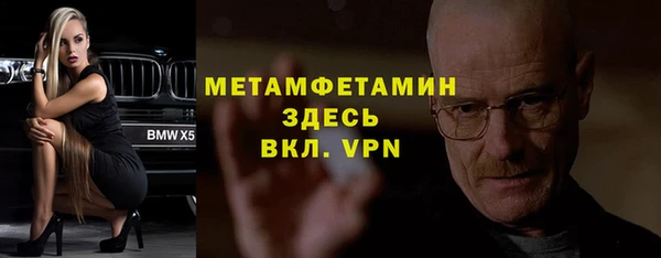 прущие грибы Осинники