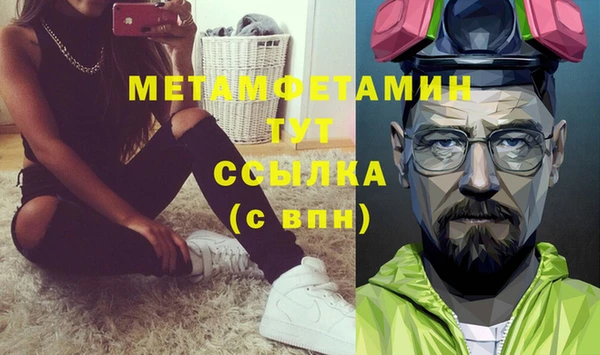 прущие грибы Осинники