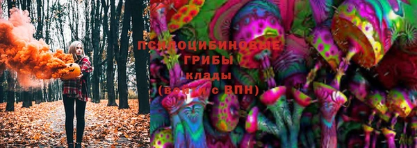 твердый Няндома