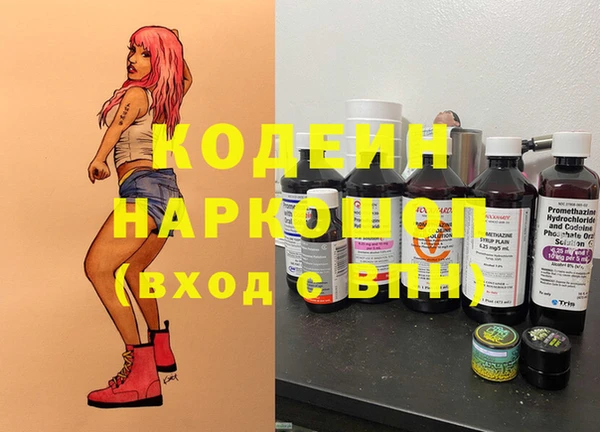 прущие грибы Осинники