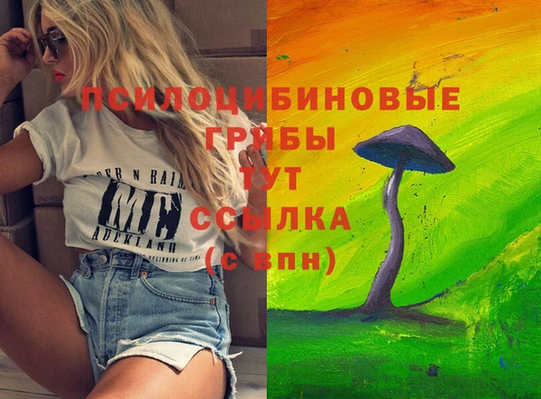 первитин Вуктыл
