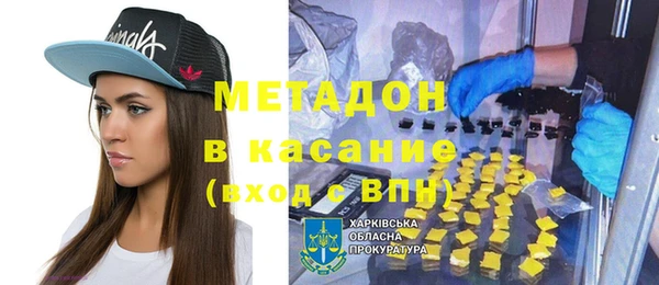 прущие грибы Осинники