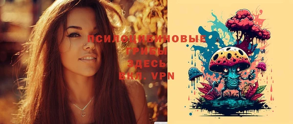 прущие грибы Осинники
