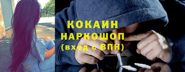 твердый Няндома