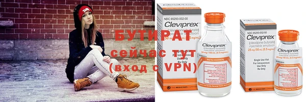 прущие грибы Осинники