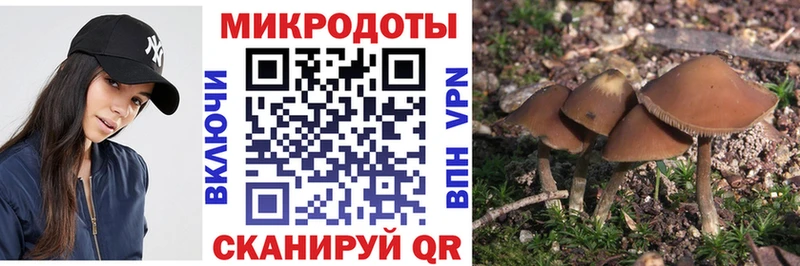 Псилоцибиновые грибы GOLDEN TEACHER  Лабинск 
